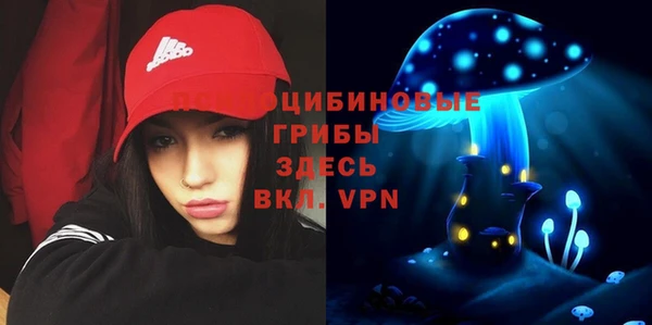 шишки Магадан